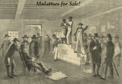mulattoes