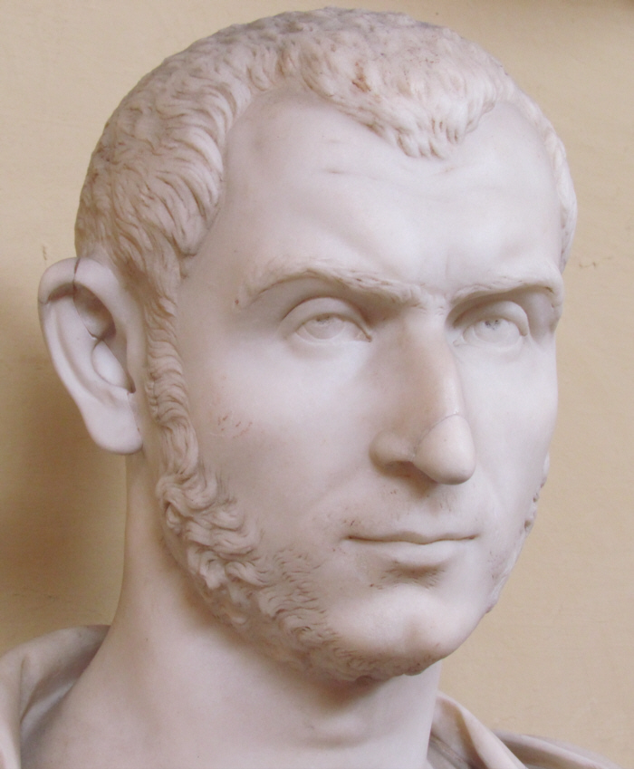 bust6