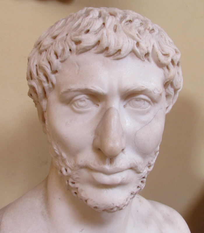bust8