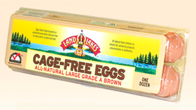 cage-free-eggs