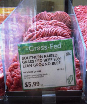 grass-fed-main