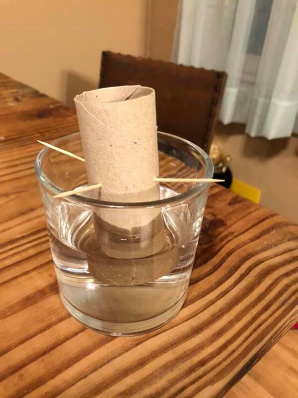 tp cup